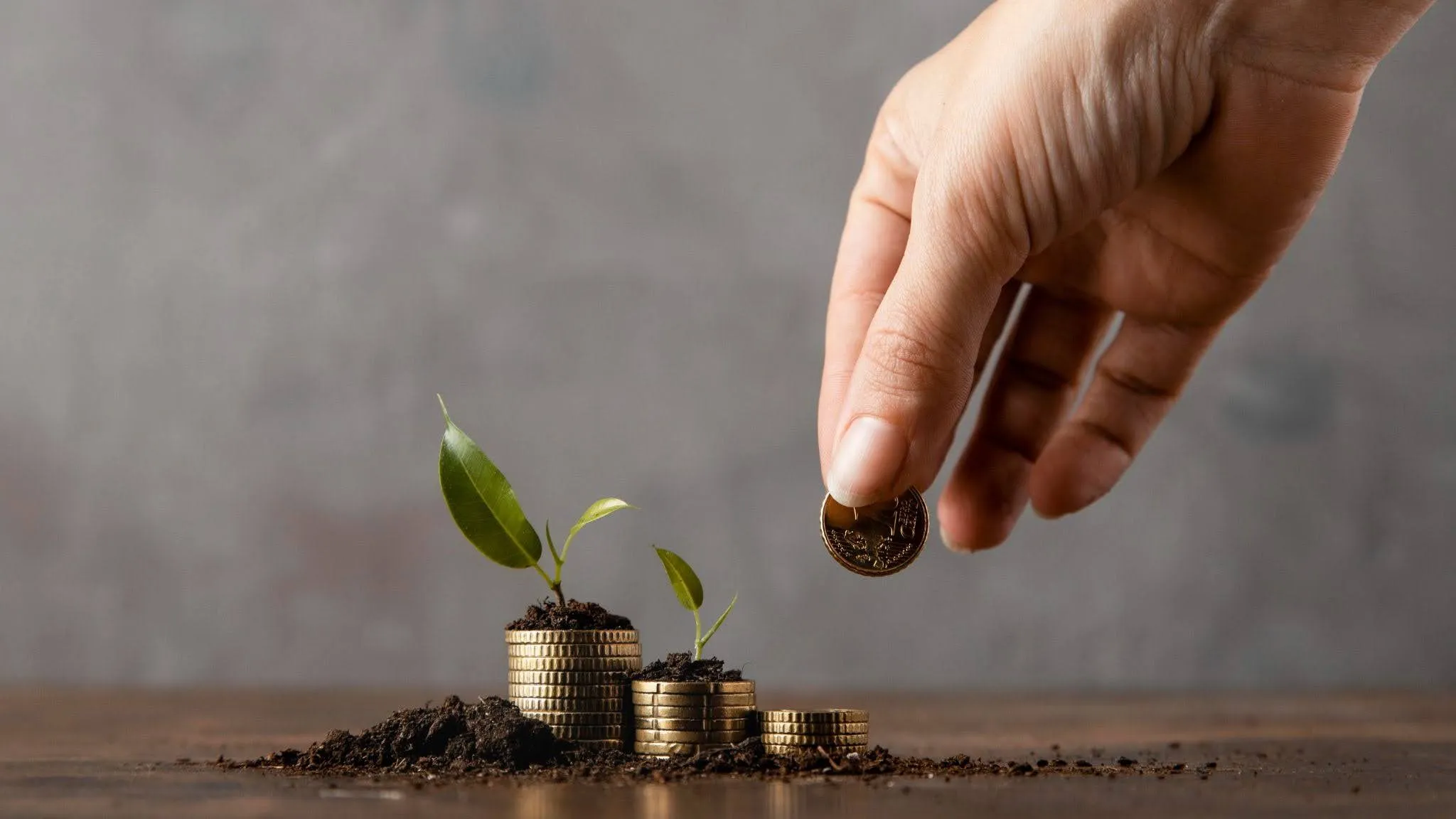 Growing plants and stacked coins illustrating how seed investment can support startup growth.