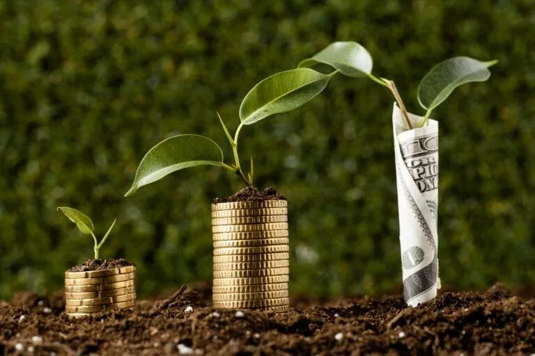 An illustration of what seed funding is used for